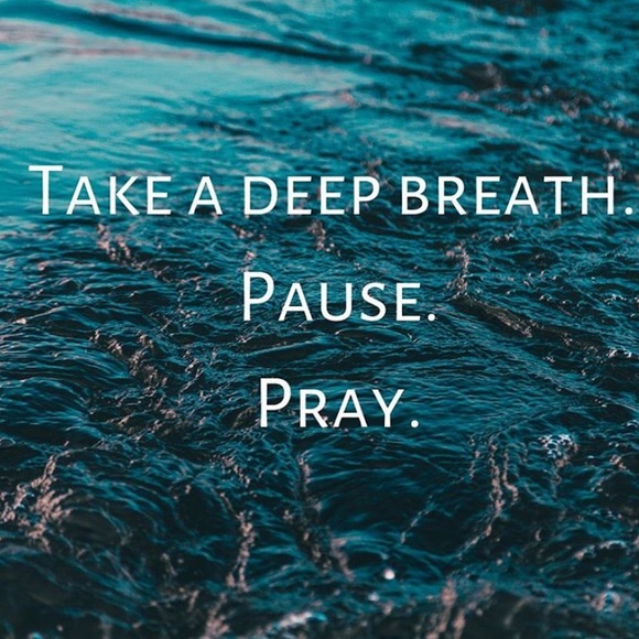 Meet your Posher, Rami - Picture 1 of 1